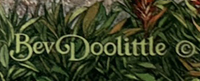 949-689-2047 Bev Doolittle art