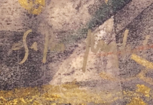 Csaba Markus Florentina 949-715-0308