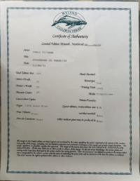 949-689-2047 James Coleman tropical art