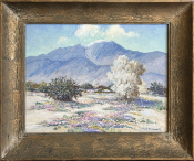 949-689-2047 Joane Cromwell desert landscape