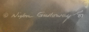 Nixon Galloway 949-715-0308