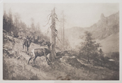 949-689-2047 Thomas Hill photogravure