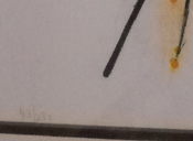 Salvador Dali 949-715-0308